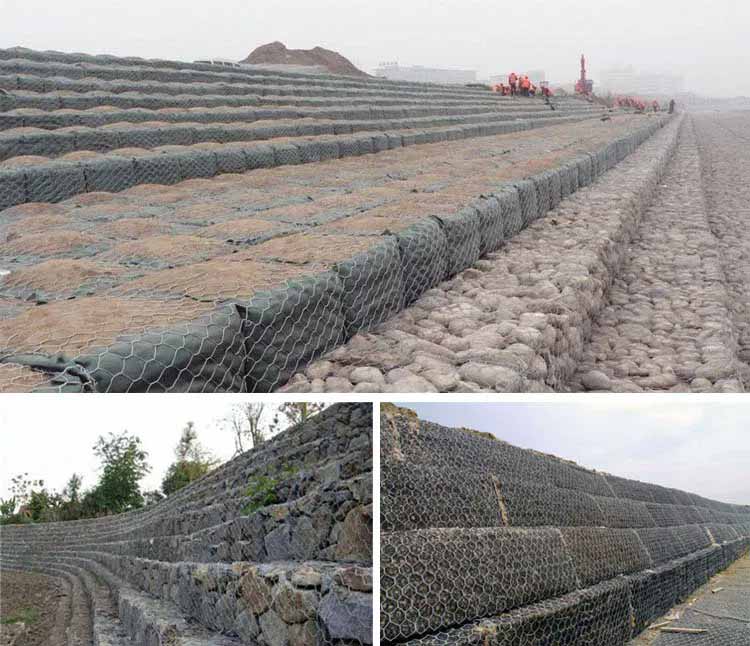 1745717122588181.jpg 1.22.jpg